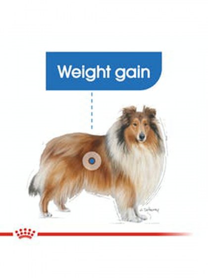 CCN MAXI LIGHT WEIGHT CARE 3KG_web3
